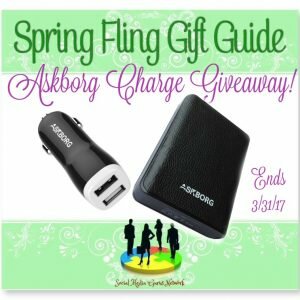 Spring Fling Gift Guide Askborg Charge Giveaway http://hintsandtipsblog.com